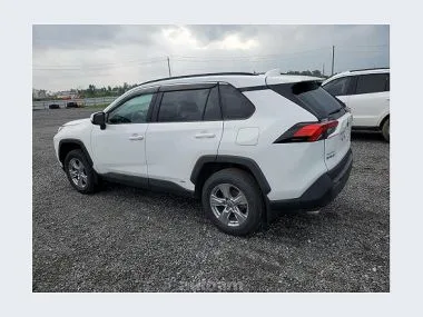 Toyota RAV4 2023 — миниатюра 2