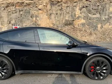 Tesla Model Y Performance 2022 — миниатюра 2