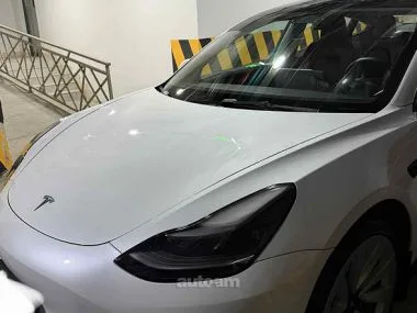 Tesla Model 3 Standart Range Plus 2022 — миниатюра 2