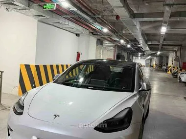 Tesla Model 3 Standart Range Plus 2022 — фото 1, купить с доставкой в Москву