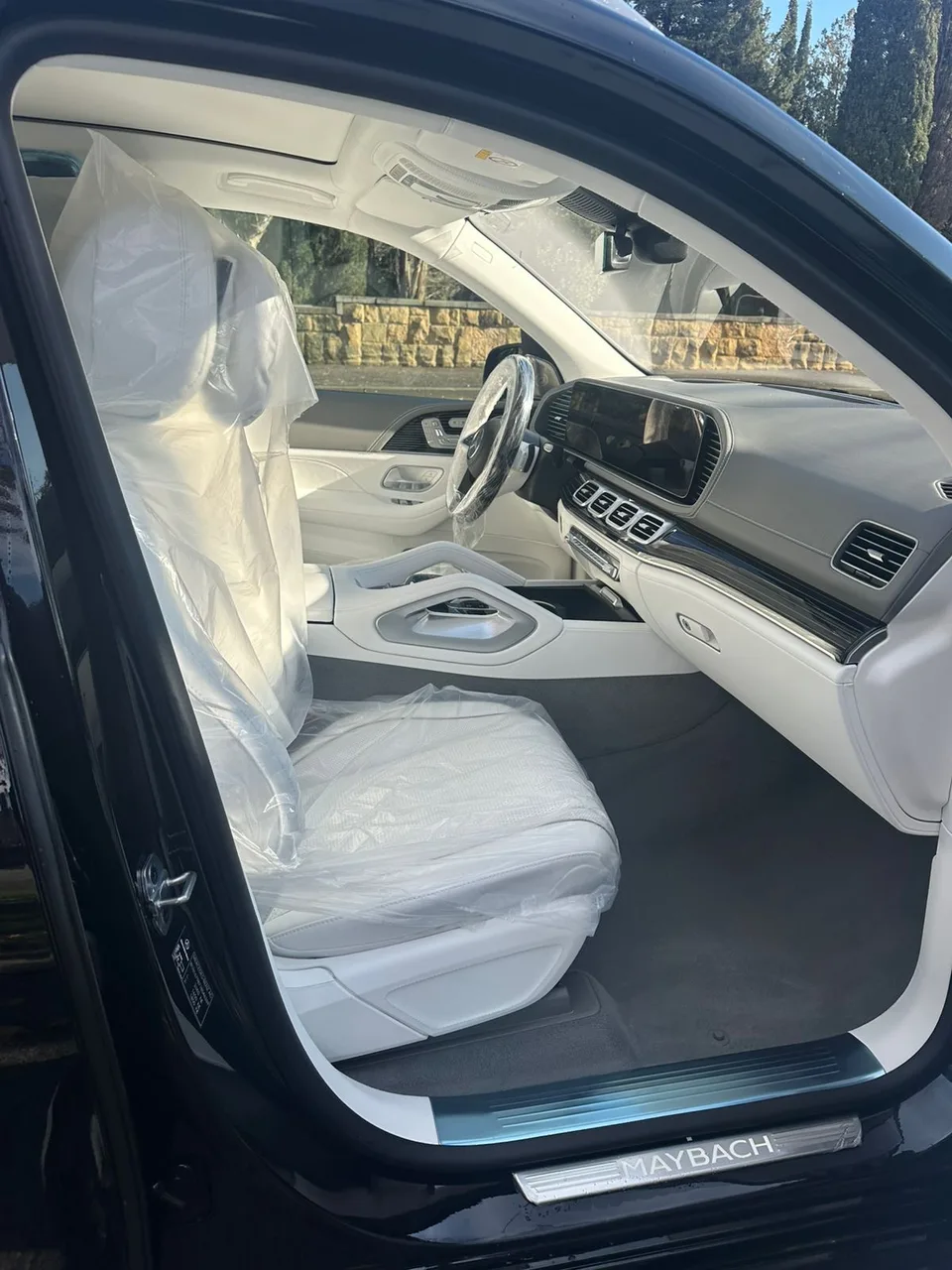 Mercedes-Benz Maybach GLS 2025 — миниатюра 4