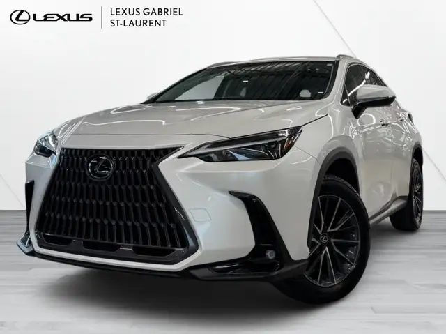 Lexus NX 2022