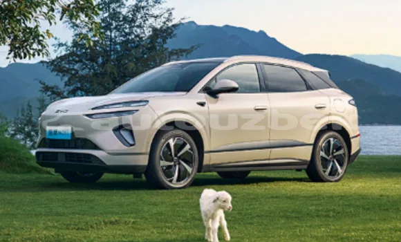 BYD S6 2025 — миниатюра 5
