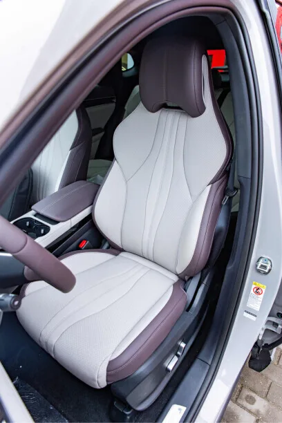 BYD Song PLUS EV 2025 — миниатюра 2