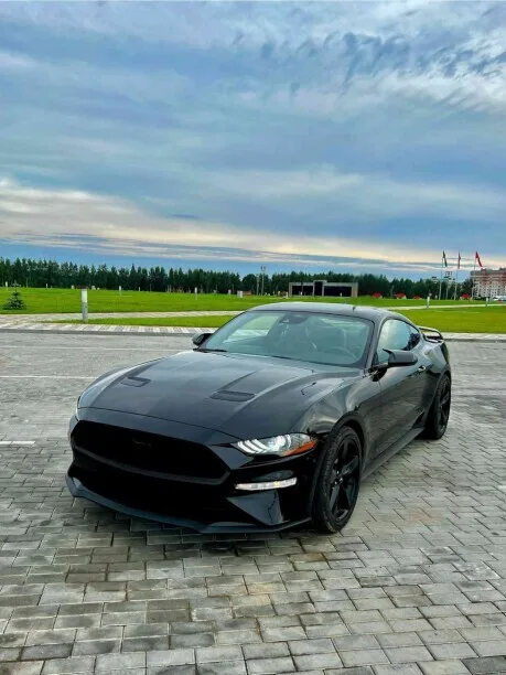 Ford Mustang 2023 — фото 1, купить с доставкой в Москву