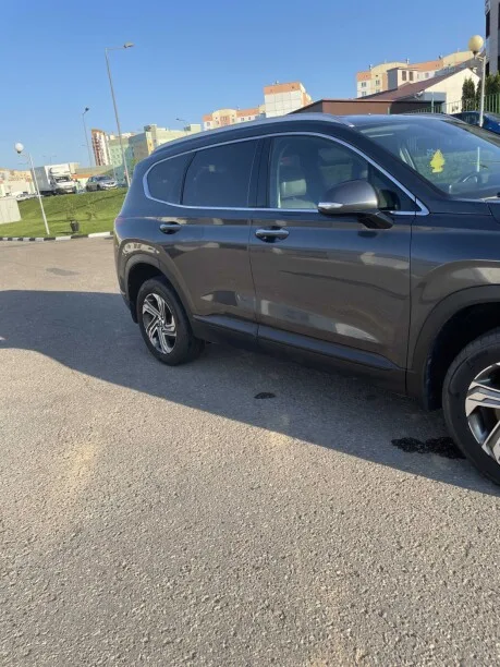 Hyundai SantaFe 2022 — миниатюра 5