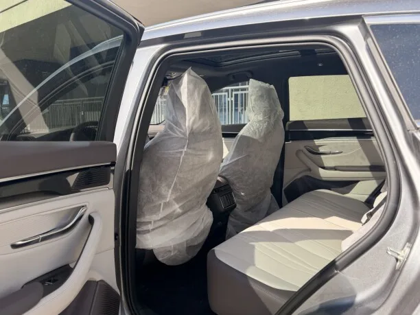 BYD Song PLUS EV 2025 — миниатюра 3
