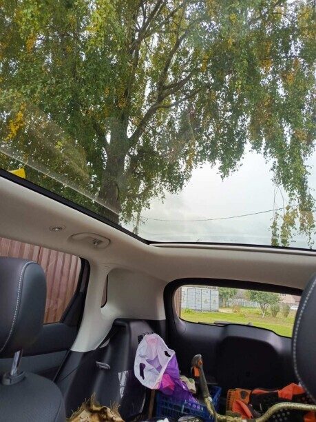 BYD Sea Lion 05 EV 2025 — 3