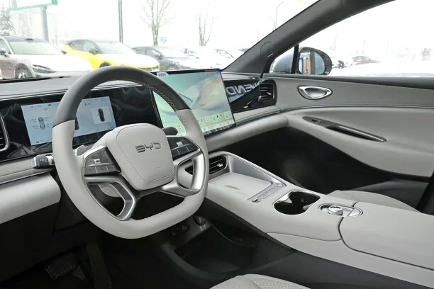 BYD Sea Lion 06 EV 2025 — миниатюра 5