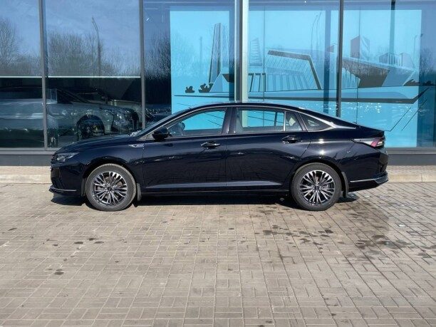 Dongfeng Aeolus Shine Max 2024 — 5