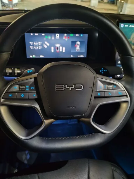 BYD Sea Lion 06 EV 2025 — миниатюра 3
