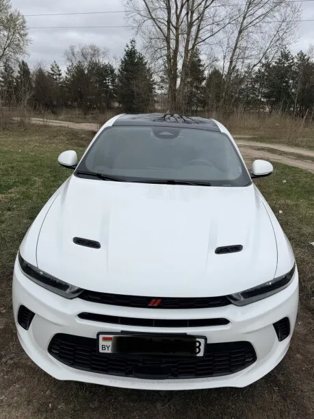 Dodge Hornet 2024 — миниатюра 5