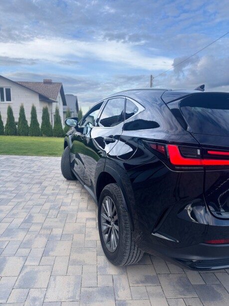 Lexus NX 2022 — 2