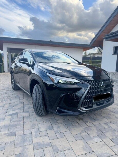 Lexus NX 2022