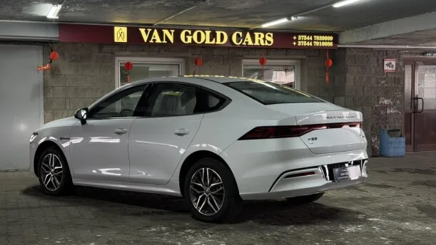 BYD Qin PLUS EV 2024 — миниатюра 4