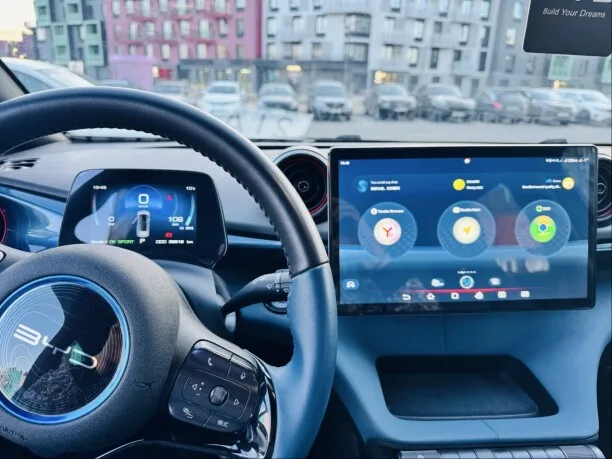 BYD Dolphin 2022 — миниатюра 5