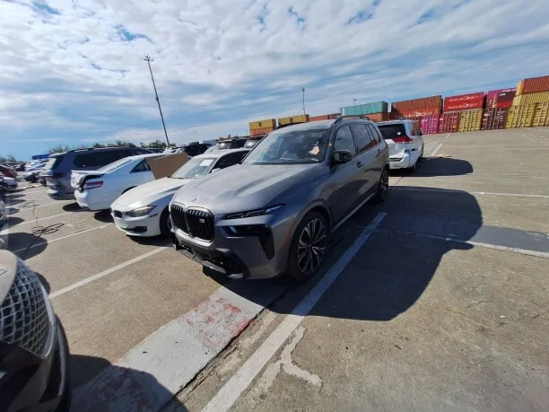 BMW X7 2022 — миниатюра 5