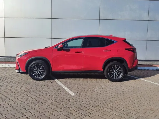 Lexus NX 2022 — миниатюра 5