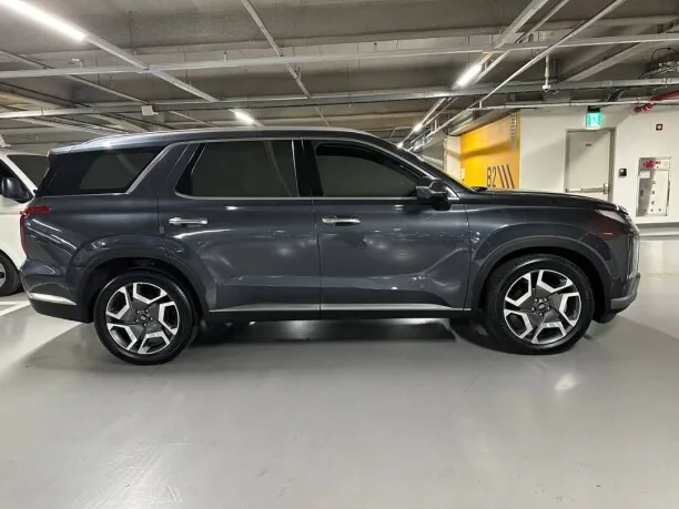 Hyundai Palisade 2022 — миниатюра 3