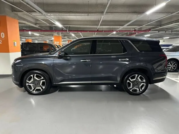 Hyundai Palisade 2022 — миниатюра 5