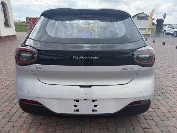 Dongfeng Nammi 01 2025 — 4