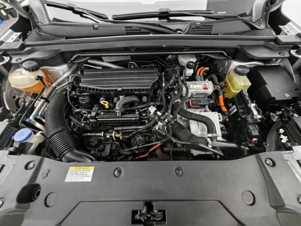 Dongfeng Mage 2024 — 3