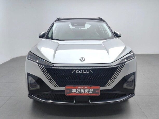 Dongfeng Mage 2024 — 4
