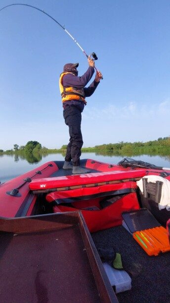 River Boats 390 2024 — 3