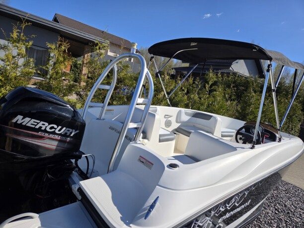 Bayliner Element E16 2015