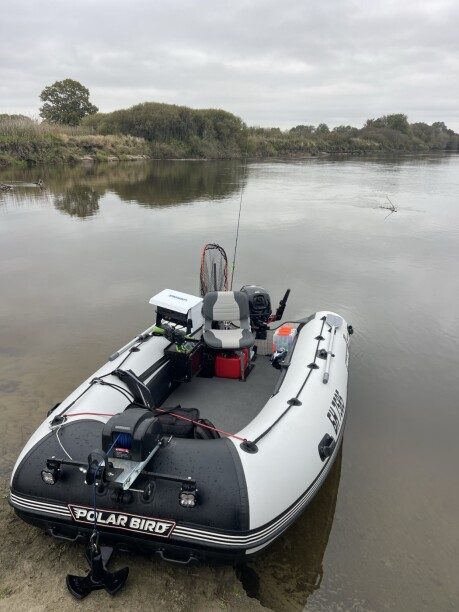 Polar Bird 400e Eagle 2025 — 2