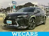 Lexus UX 250h L // 2023 — фото 1, купить с доставкой в Москву