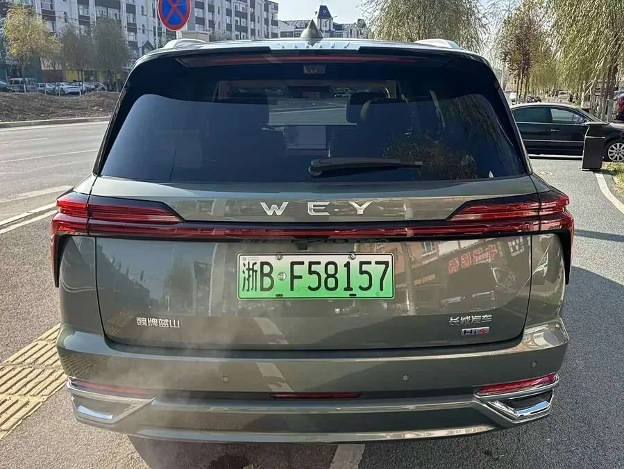 WEY Blue Mountains Wei Brand Blue Mountain 2025 4WD Ultra 2024 — миниатюра 5