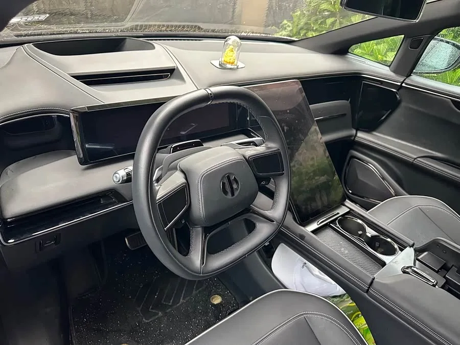 HiPhi X HiPhi X 2021 Founder Edition 6-seater 2024 — миниатюра 5
