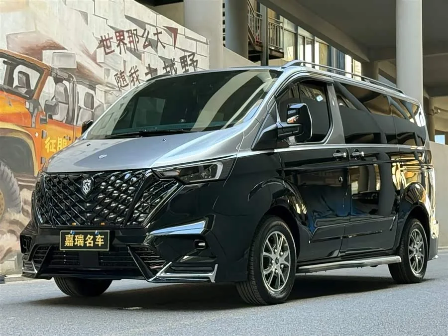 Ford Tourneo Tourneo 2024 2.0T Automatic Premium Plus Edition 2025 — фото 1, купить с доставкой в Москву