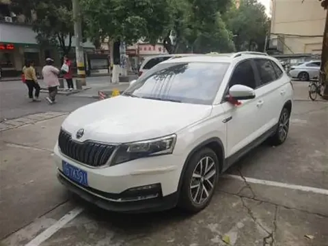 Skoda Kamiq 2023 buy in Moscow
