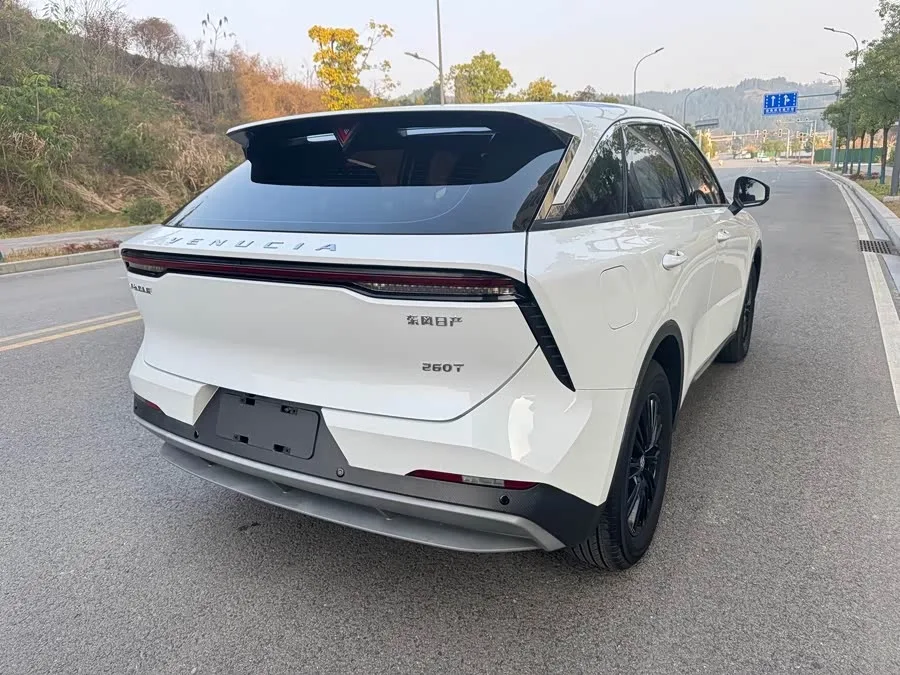 Venucia Big V Venucia V 2022 260T Custom EditionIdol 2022 — миниатюра 4