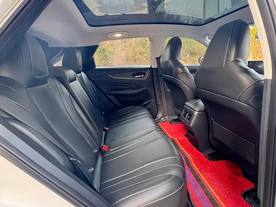 Venucia Big V Venucia V 2022 260T Custom EditionIdol 2022 — миниатюра 5