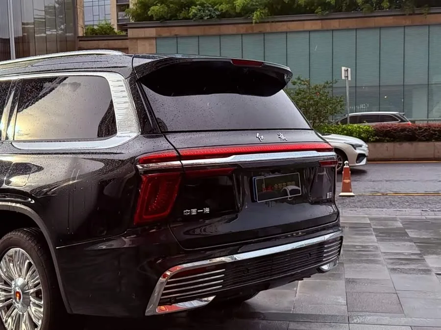 Hongqi Golden Sunflower National Glory Hongqi Golden Sunflower National Glory 2022 4.0T Deluxe Flagship Edition 4-seater 2024 — миниатюра 4