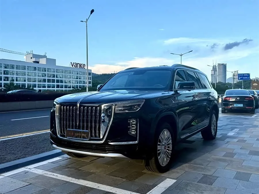 Hongqi Golden Sunflower National Glory 2024