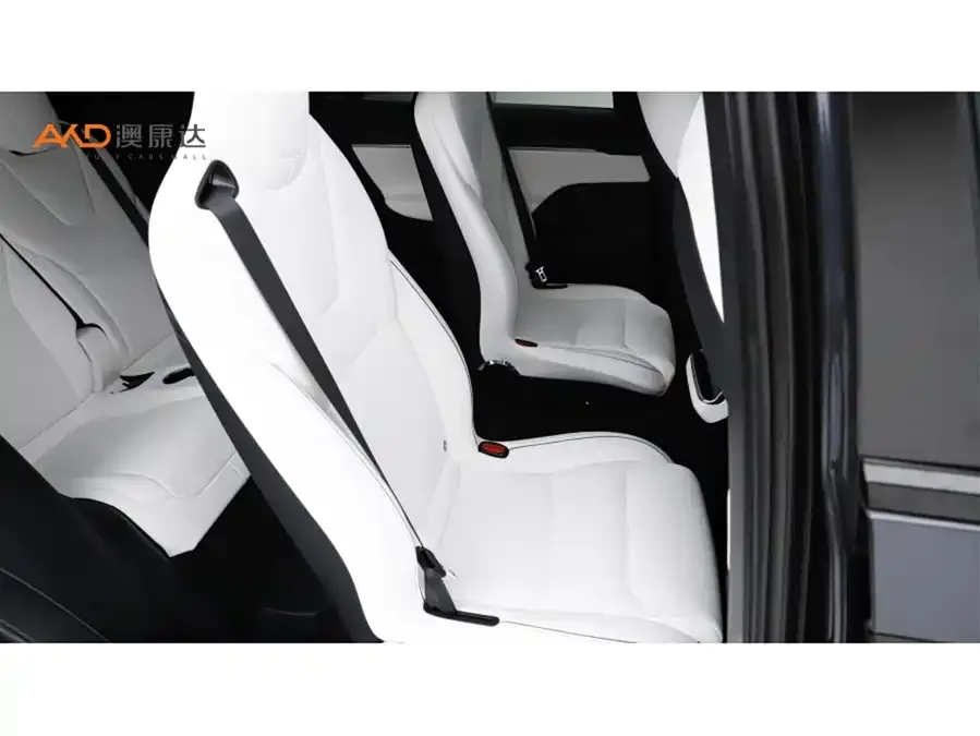 Tesla Model X Model X 2023 Tri-Motor All-Wheel Drive Plaid Edition 2024 — миниатюра 5