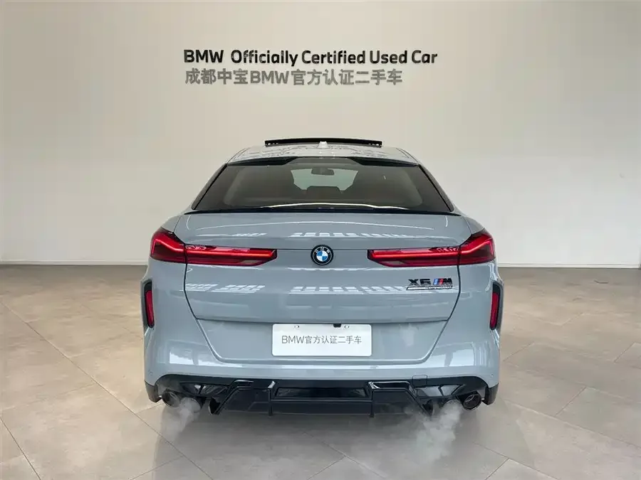 BMW X6 M BMW X6 M 2023 X6 M Thunder Edition 2025 — миниатюра 5