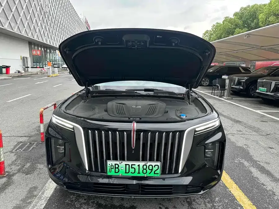 Hongqi E-HS9 Hongqi E-HS9 2021 460km Flagship Edition Six Seaters 2023 — миниатюра 4
