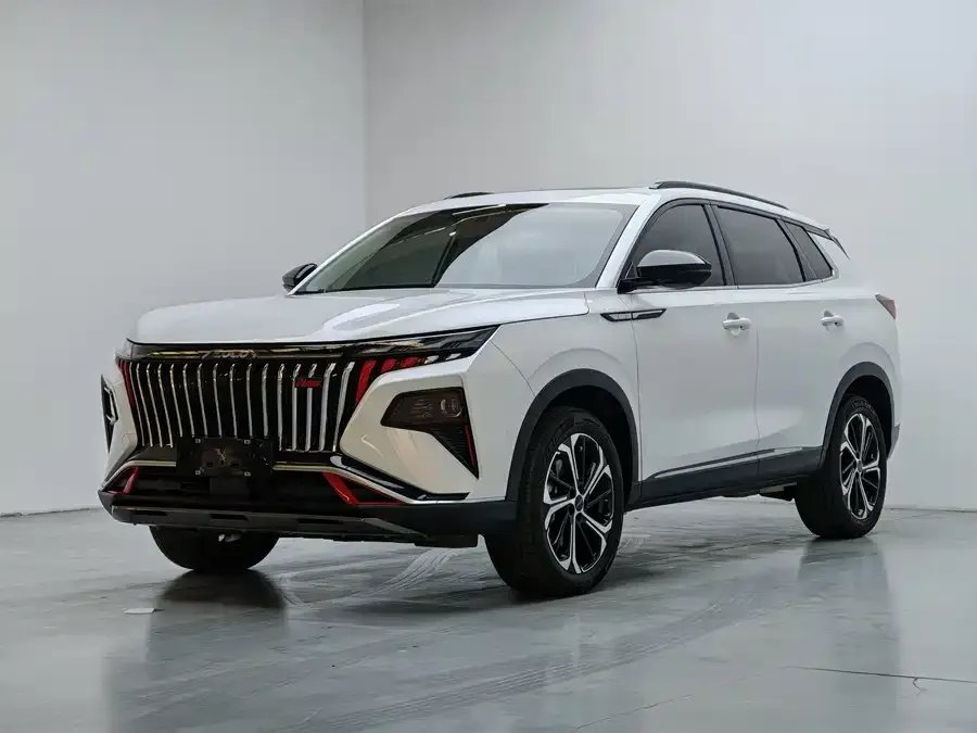 Dongfeng Haoji 2024