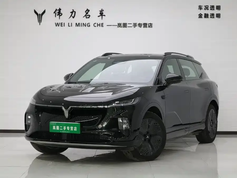 Voyah Courage Lantu Zhiyin 2024 4WD Global Edition 2024 — фото 1, купить с доставкой в Москву