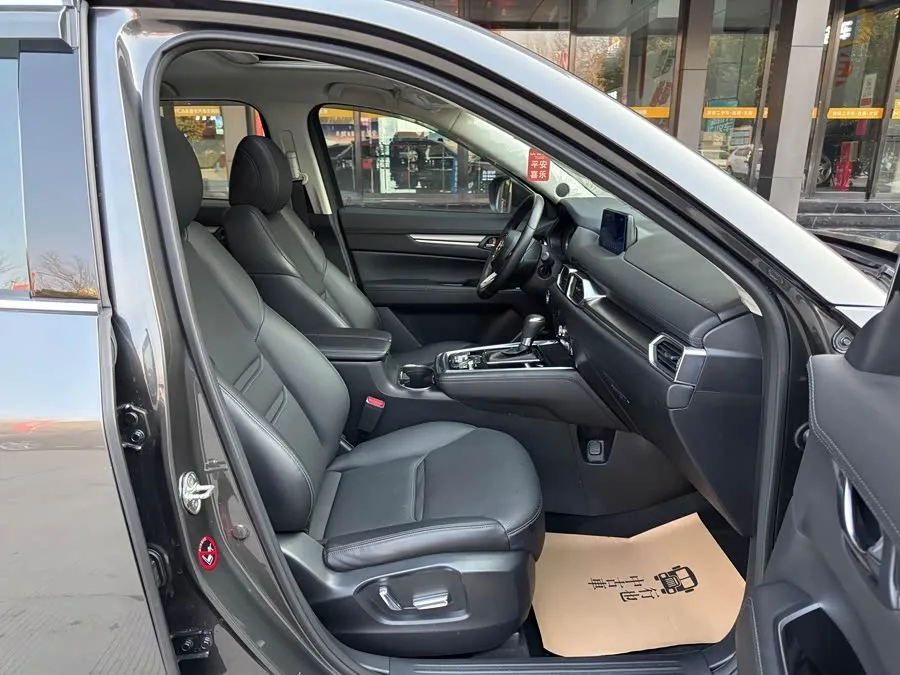 Mazda CX-8 2019 2.5L 4WD Premium Edition 2022 — миниатюра 5