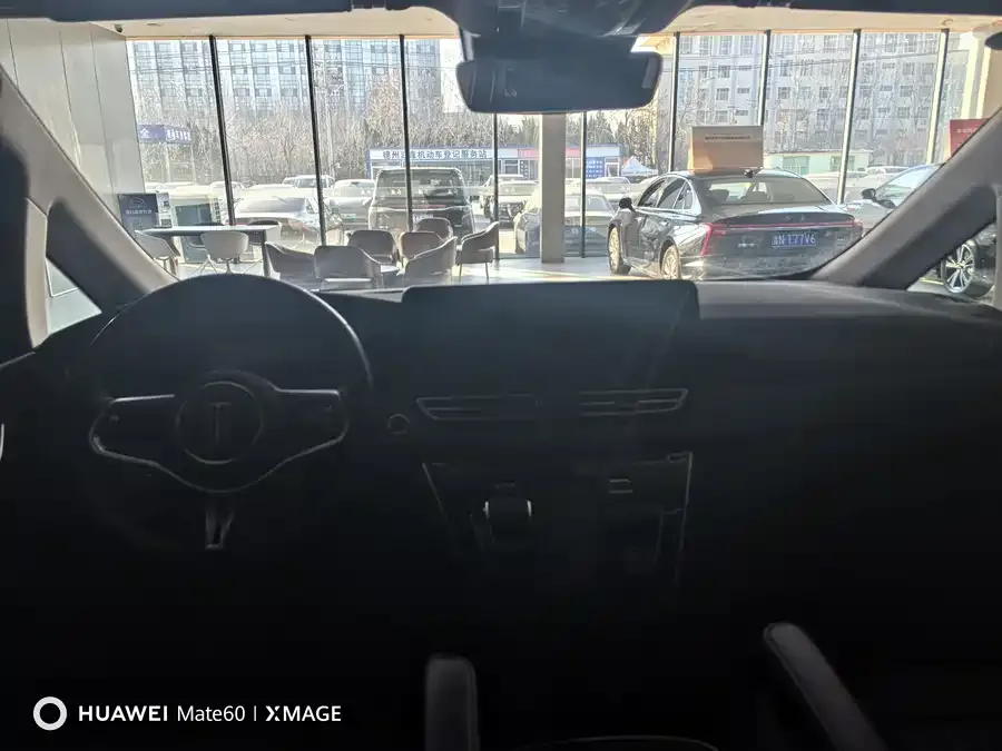 Hongqi HQ9 Hongqi HQ9 2023 2.0T Intelligent Connection Flagship Edition 2023 — миниатюра 3