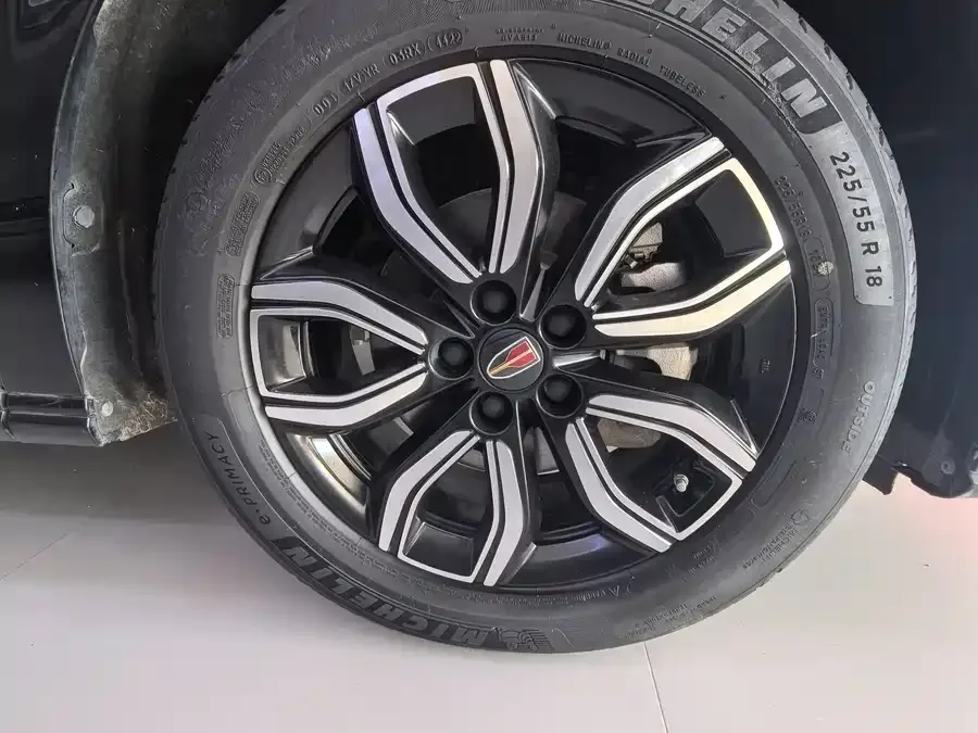 Hongqi HQ9 Hongqi HQ9 2023 2.0T Intelligent Connection Flagship Edition 2023 — миниатюра 4