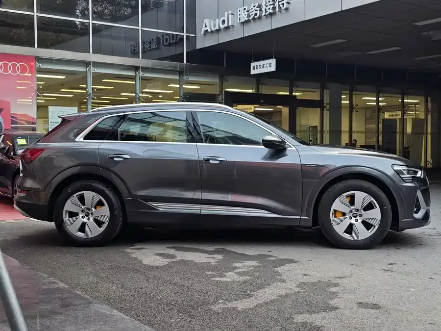 Audi e-tron 2021 50 quattro Luxury 2026 — миниатюра 2