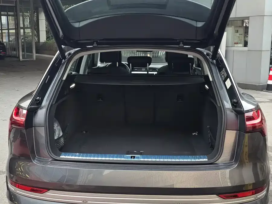 Audi e-tron 2021 50 quattro Luxury 2026 — миниатюра 3