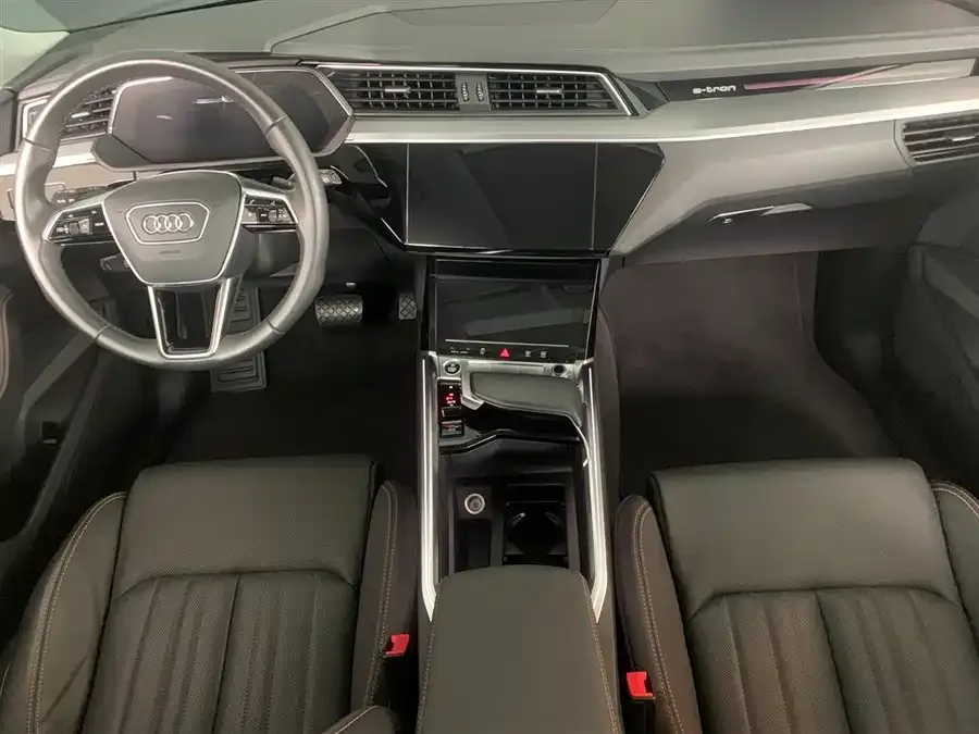 Audi e-tron 2021 50 quattro Luxury 2022 — миниатюра 2